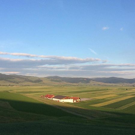 Kavalliera Pensiune Cotormani Bagian luar foto