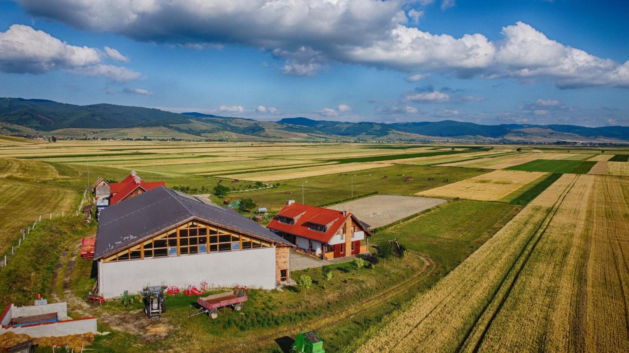 Kavalliera Pensiune Cotormani Bagian luar foto