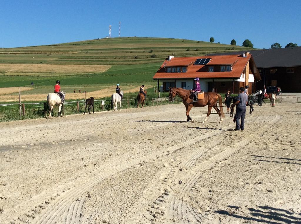 Kavalliera Pensiune Cotormani Bagian luar foto