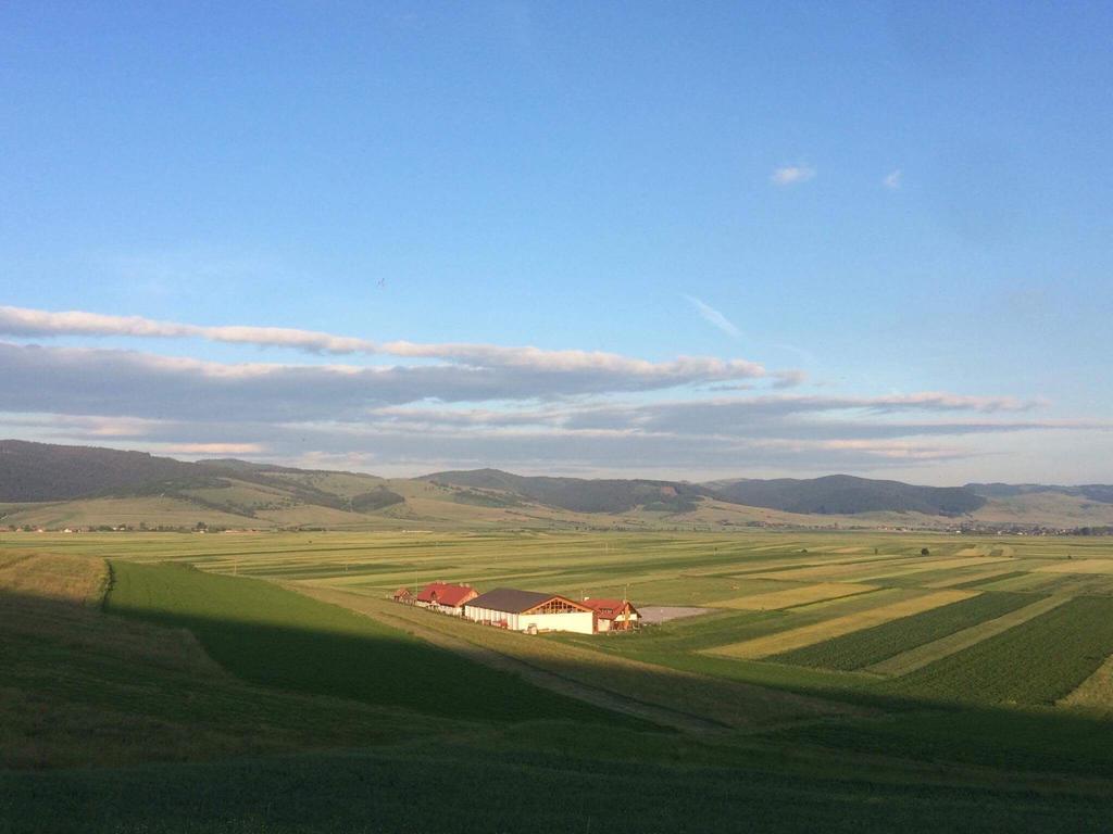 Kavalliera Pensiune Cotormani Bagian luar foto