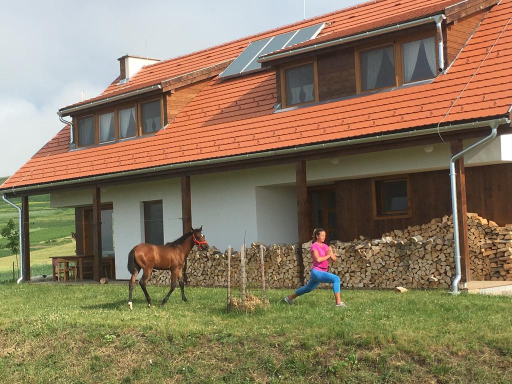 Kavalliera Pensiune Cotormani Bagian luar foto